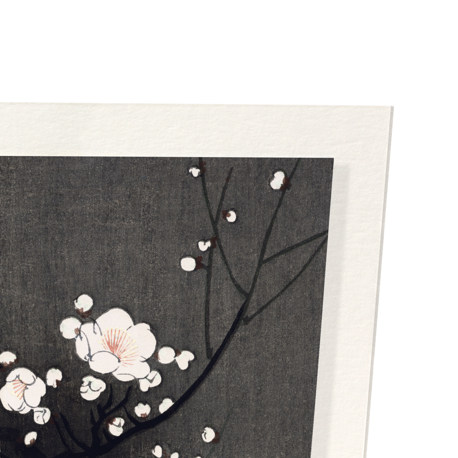PLUM BLOSSOM AND FULL MOON: Japanese Art Print