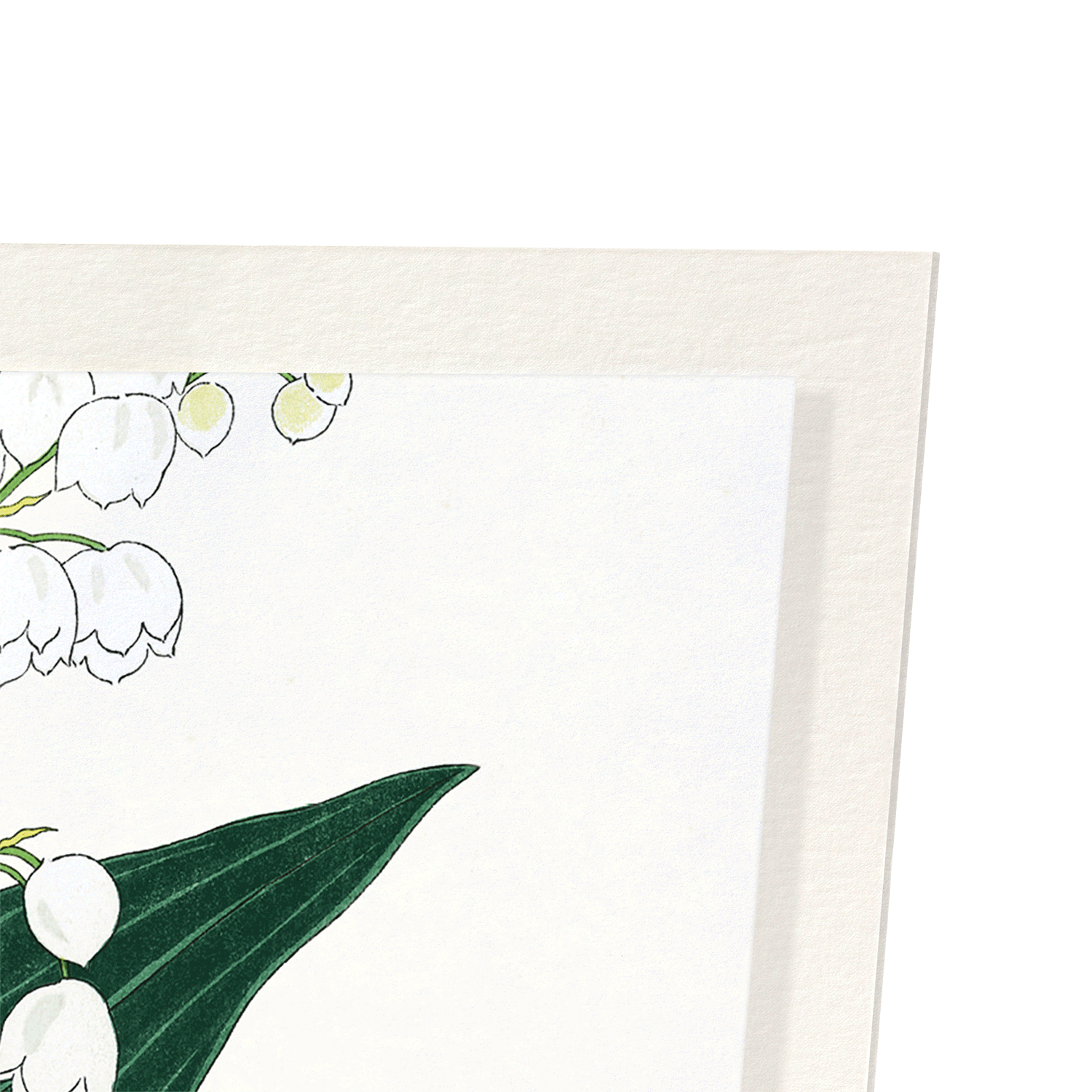 LILY OF THE VALLEY: Japanese Art Print