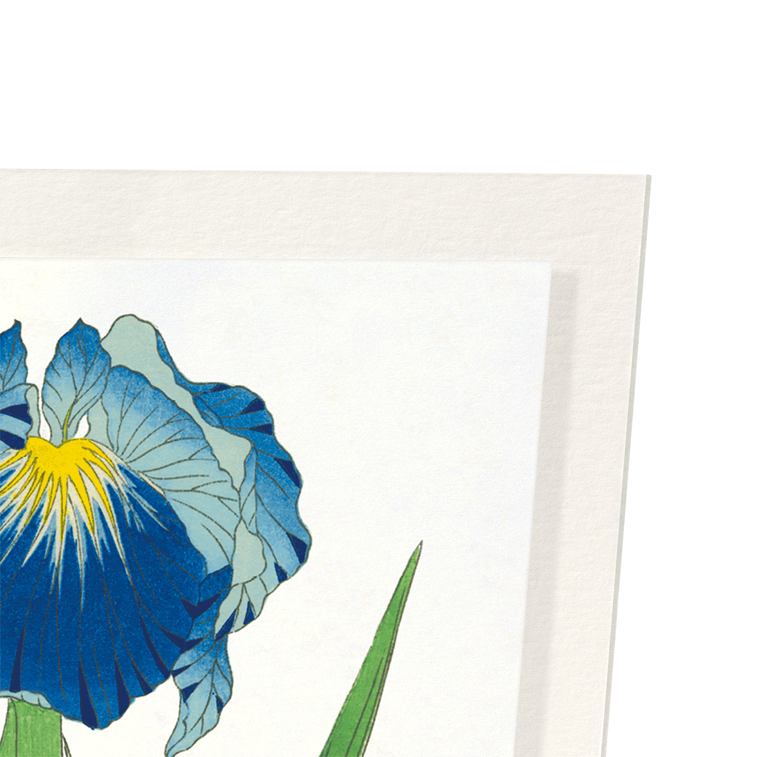 BLUE IRIS: Japanese Art Print