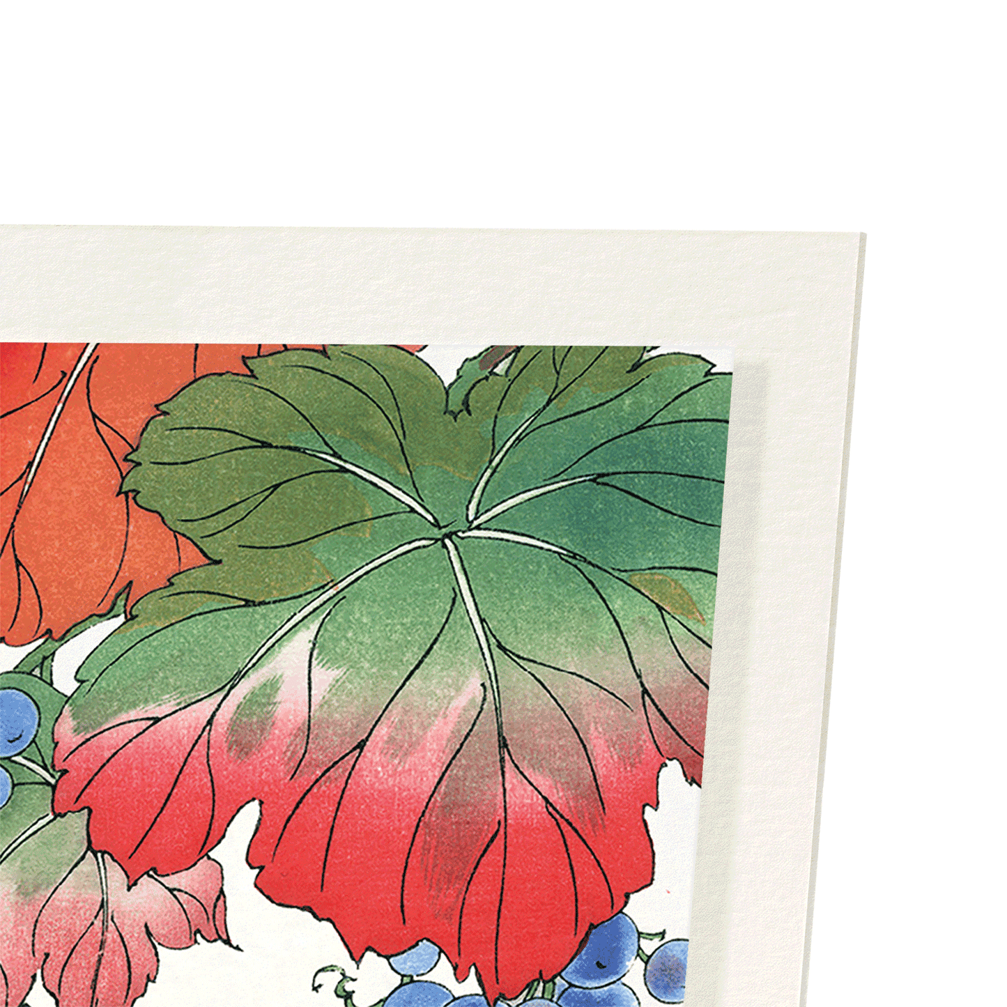 GRAPES: Japanese Art Print