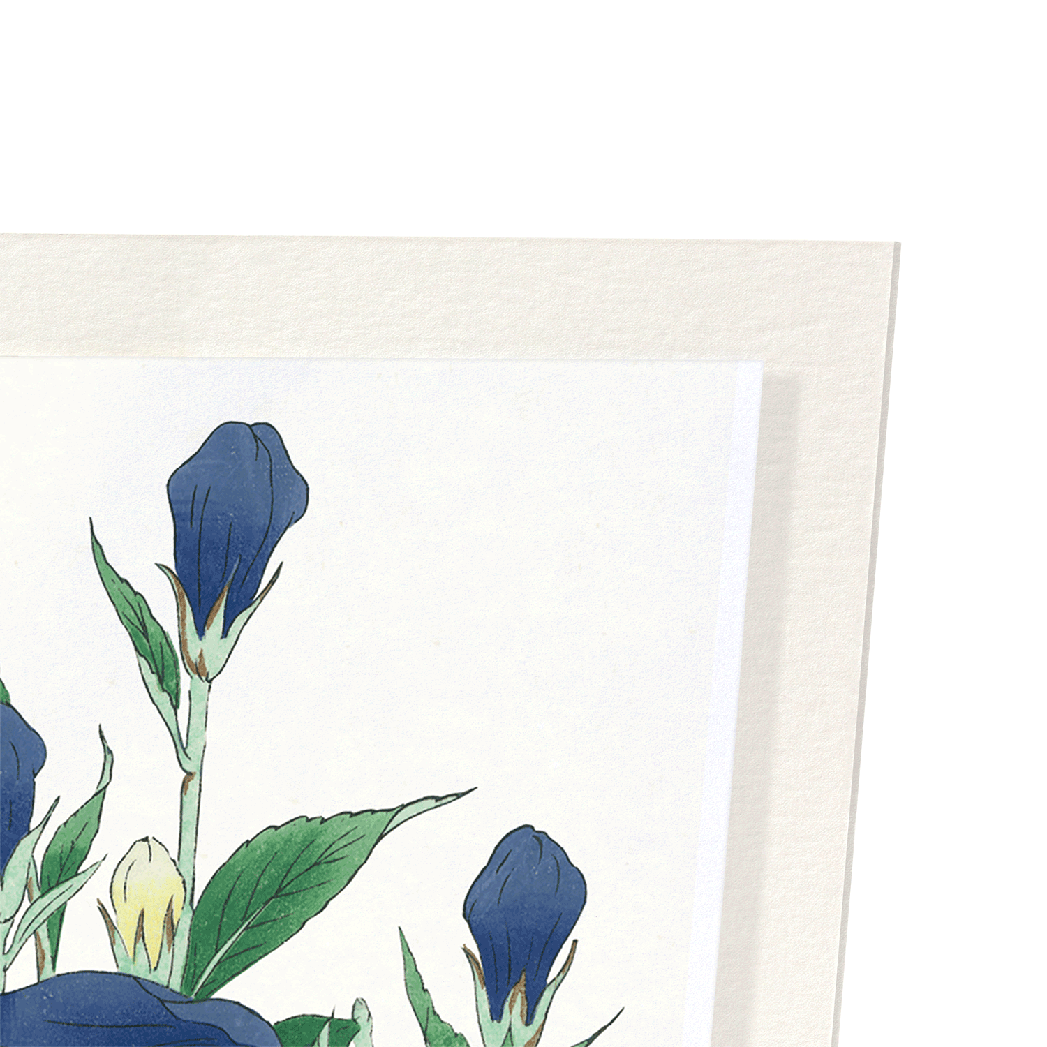 BLUEBELL FLOWER: Japanese Art Print