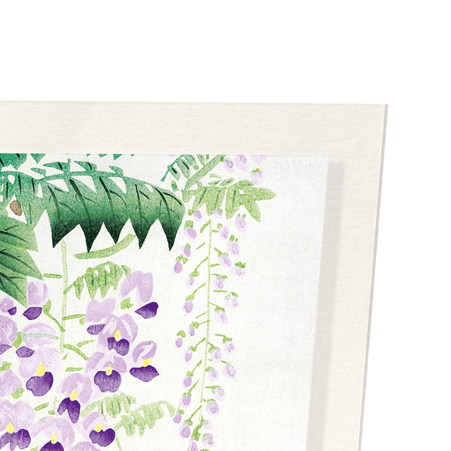WISTERIA: Japanese Art Print