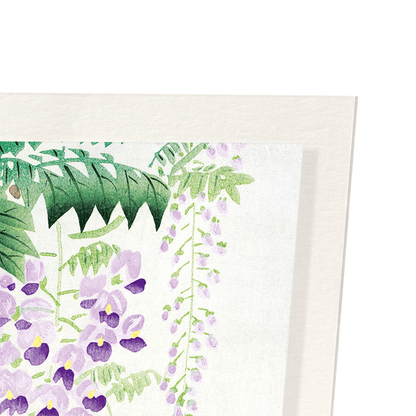 WISTERIA: Japanese Art Print