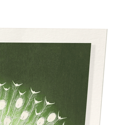 WHITE PEACOCK: Japanese Art Print