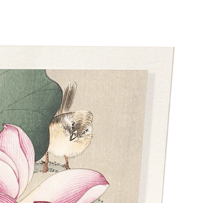 SONGBIRD AND LOTUS: Japanese Art Print
