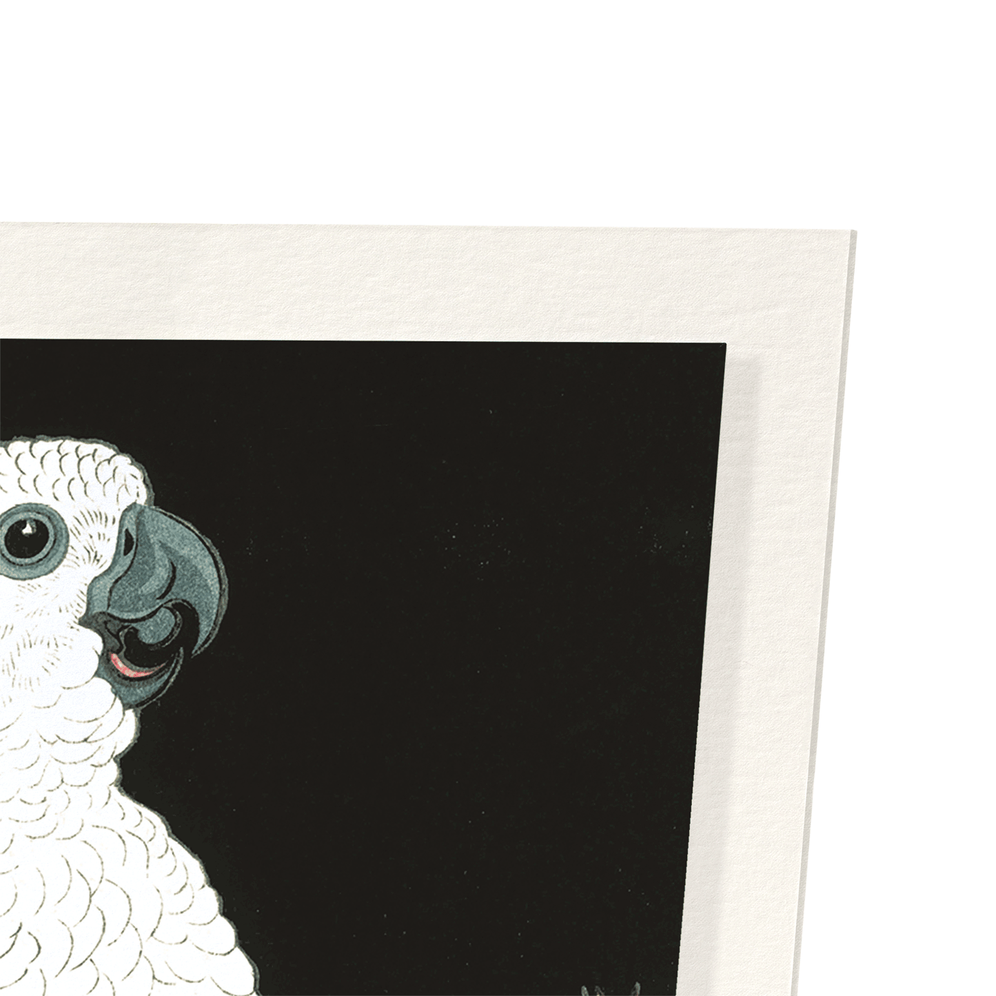 COCKATOO AND POMEGRANATE: Japanese Art Print
