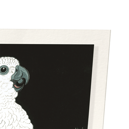COCKATOO AND POMEGRANATE: Japanese Art Print