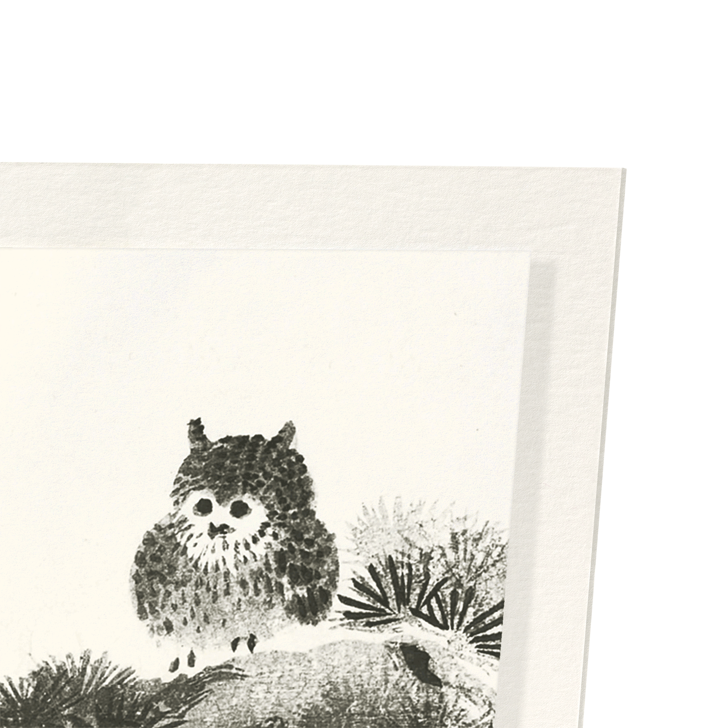 OWL ON PINE TREE: Japanese Art Print