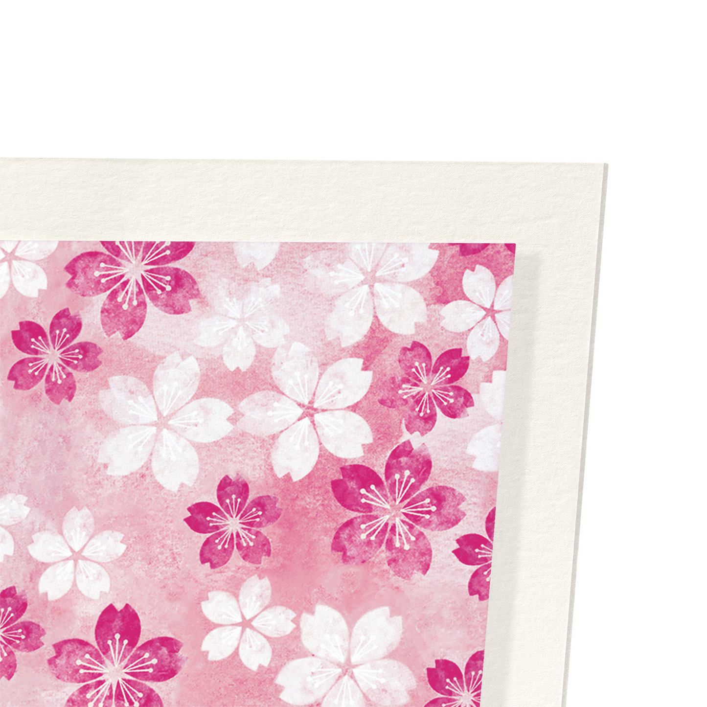 CHERRY BLOSSOM ON PINK: Japanese Art Print