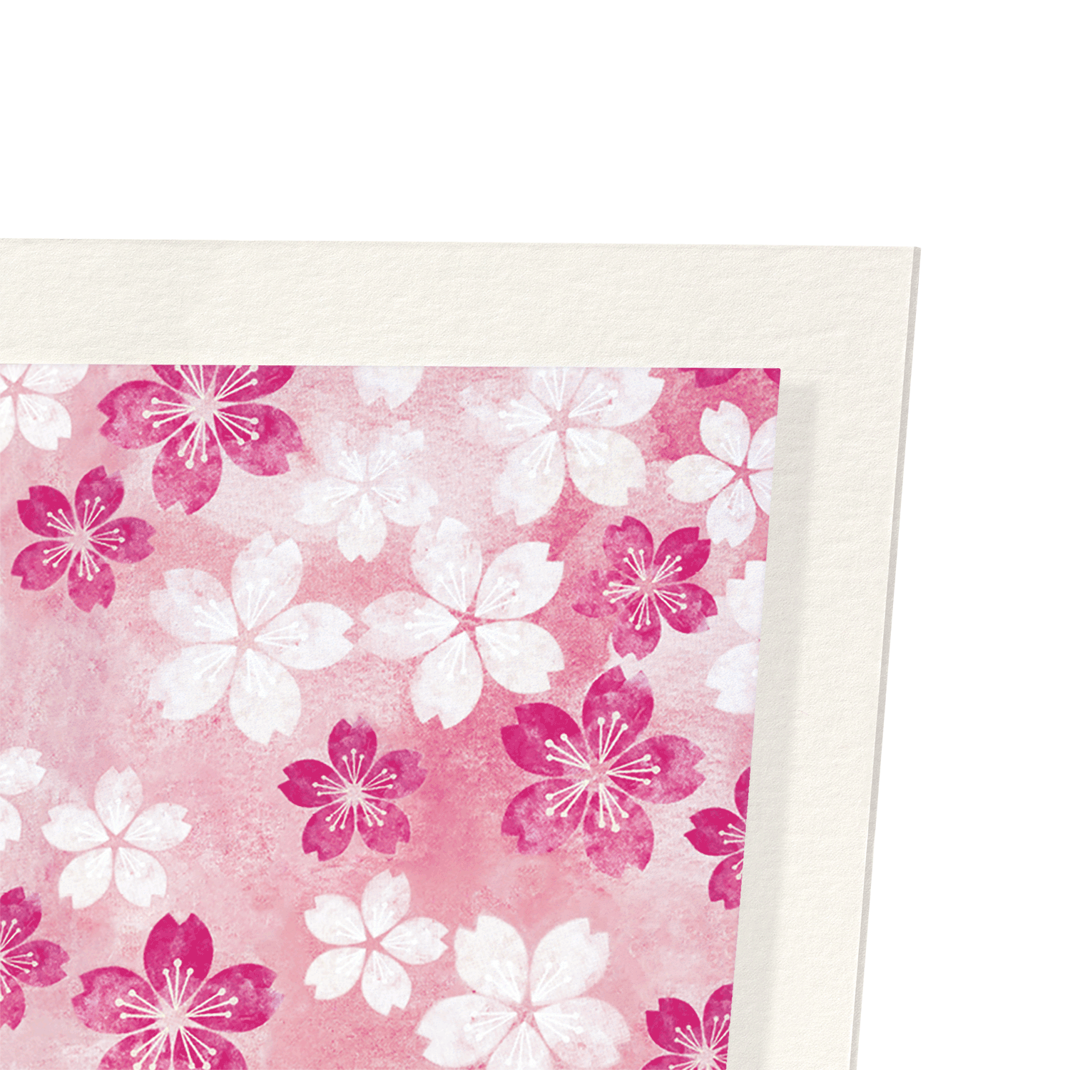 CHERRY BLOSSOM ON PINK: Japanese Art Print