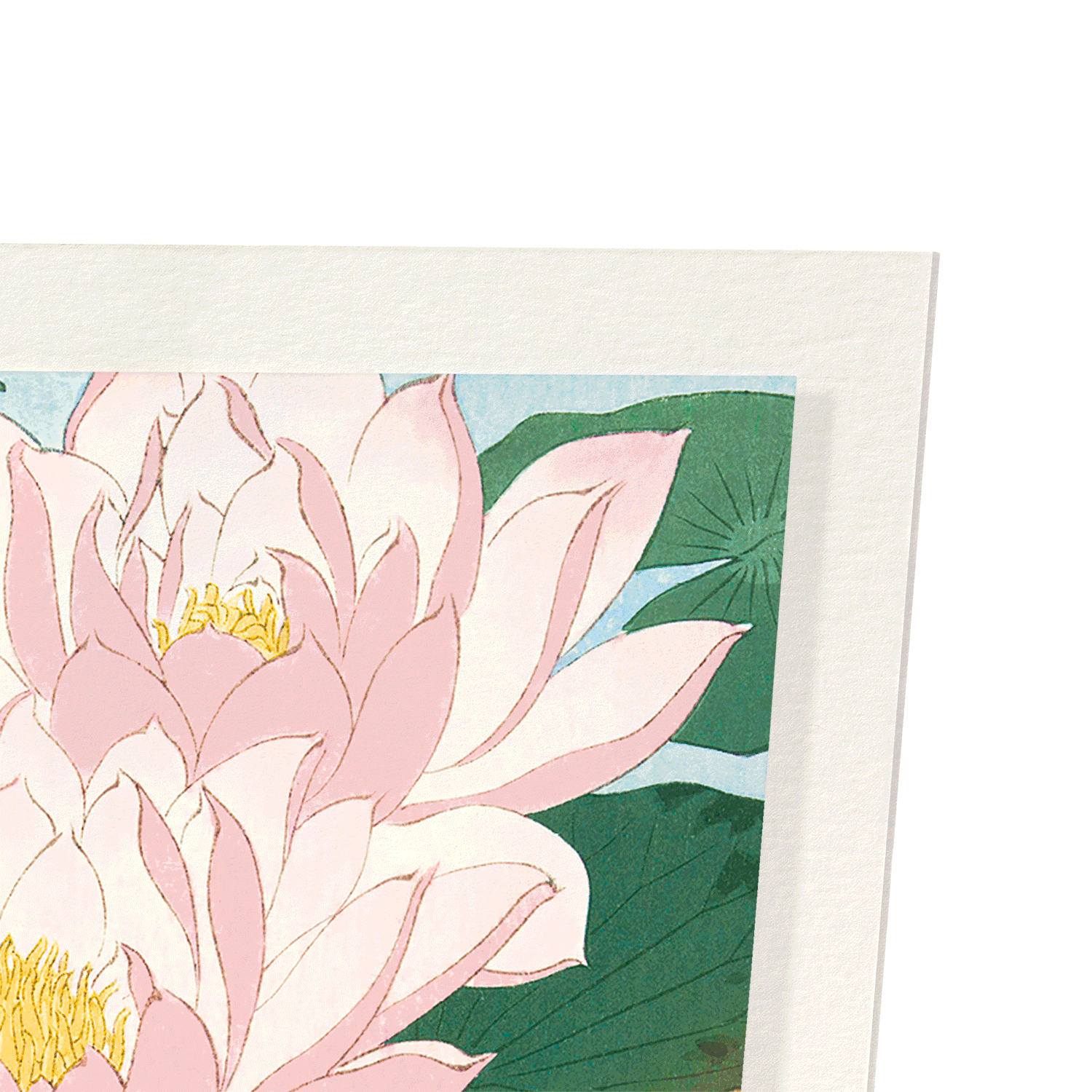 FLOWERING LOTUS: Japanese Art Print