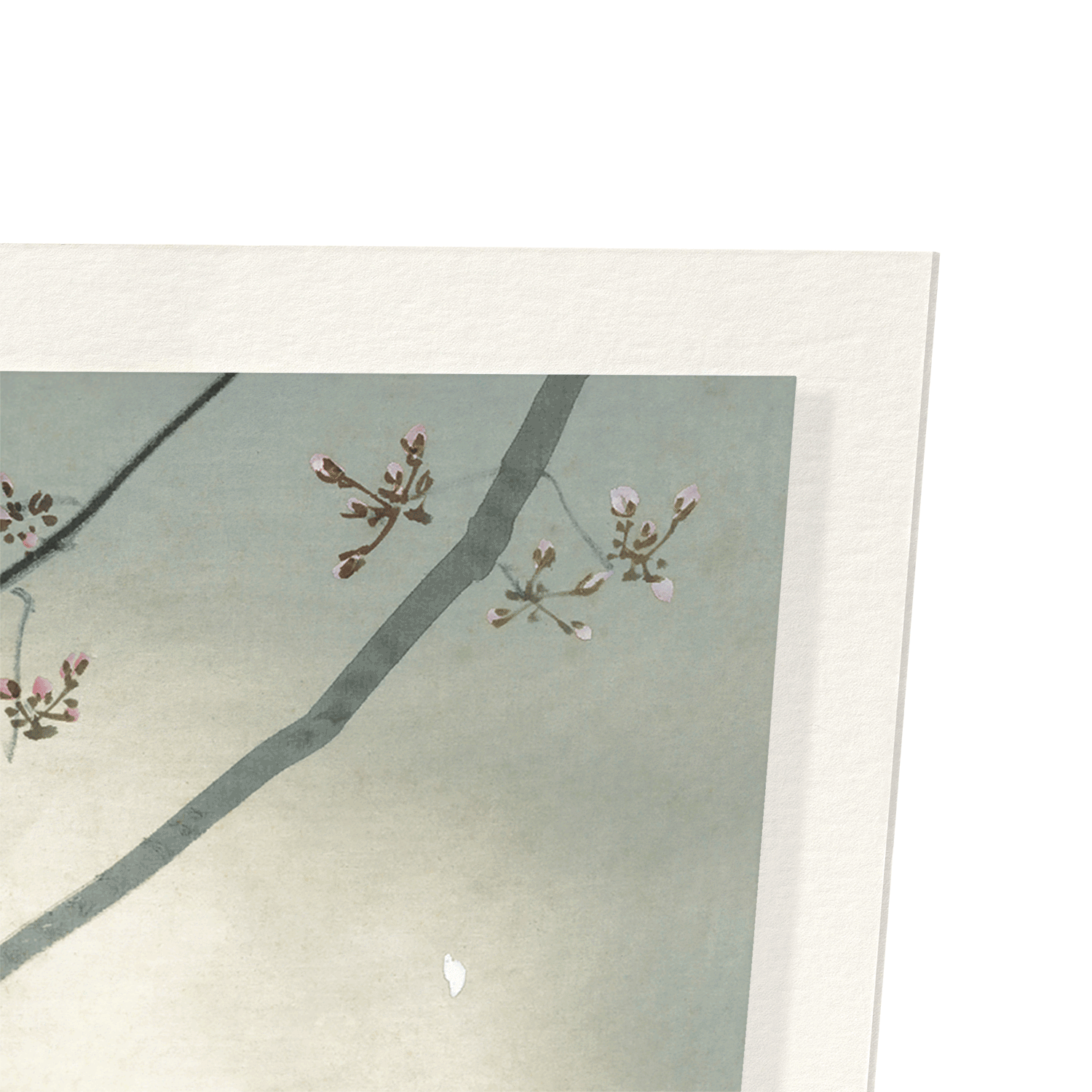 CHERRY BLOSSOM IN THE FULL MOON: Japanese Art Print