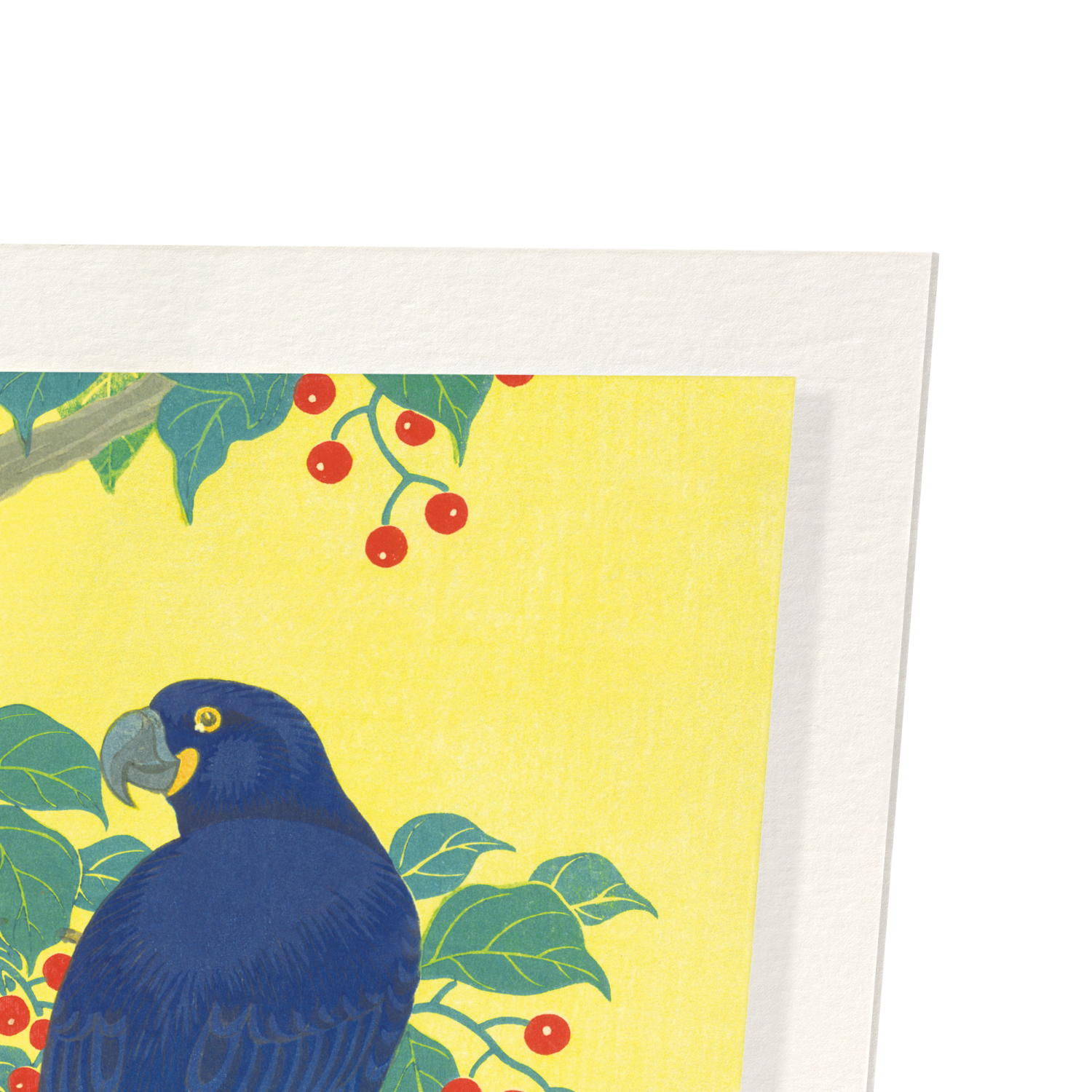 TWO PARROTS AND BERRIES (C.1910): Japanese Art Print