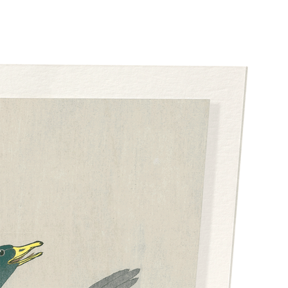 DUCK ON SNOWY TREE STUMP: Japanese Art Print