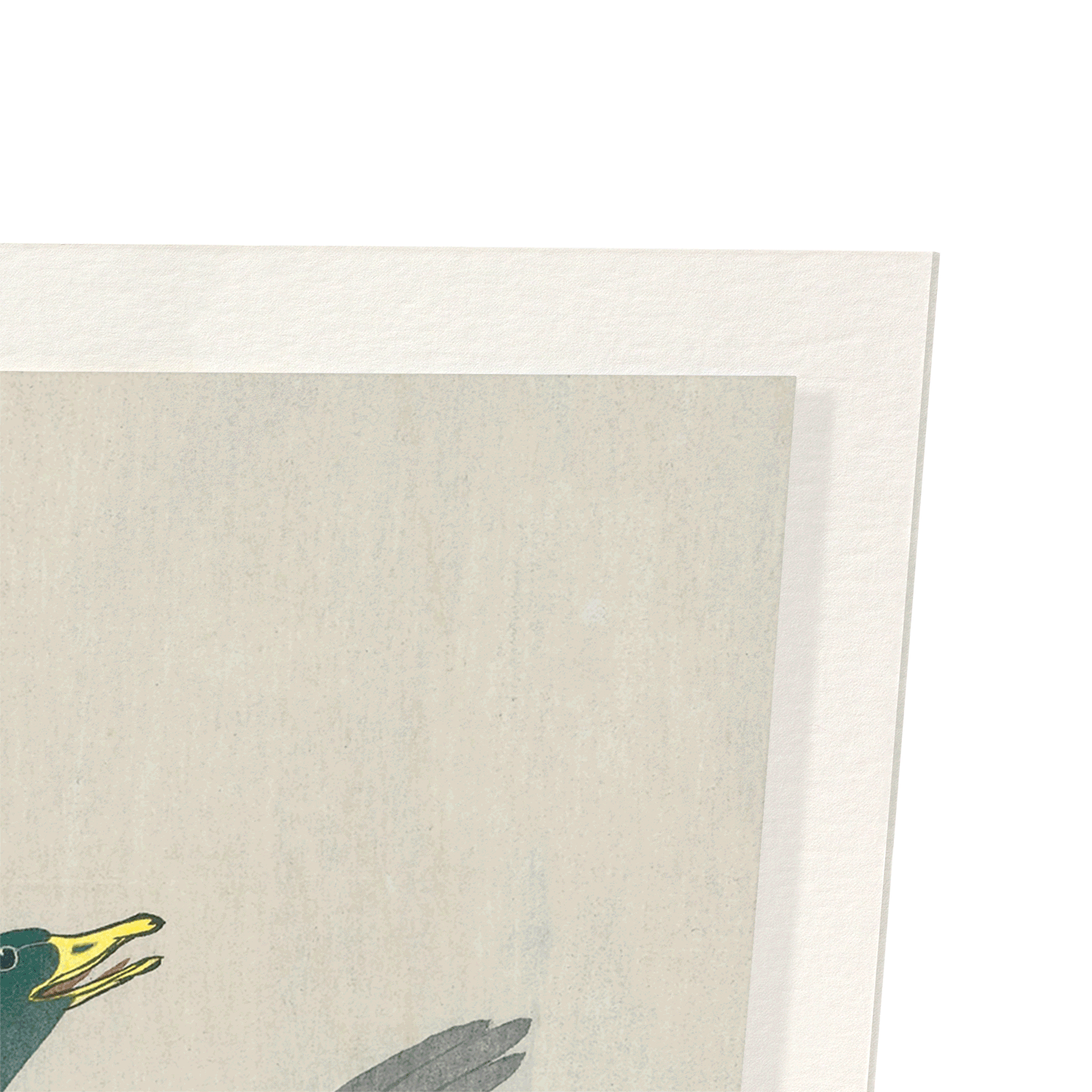 DUCK ON SNOWY TREE STUMP: Japanese Art Print