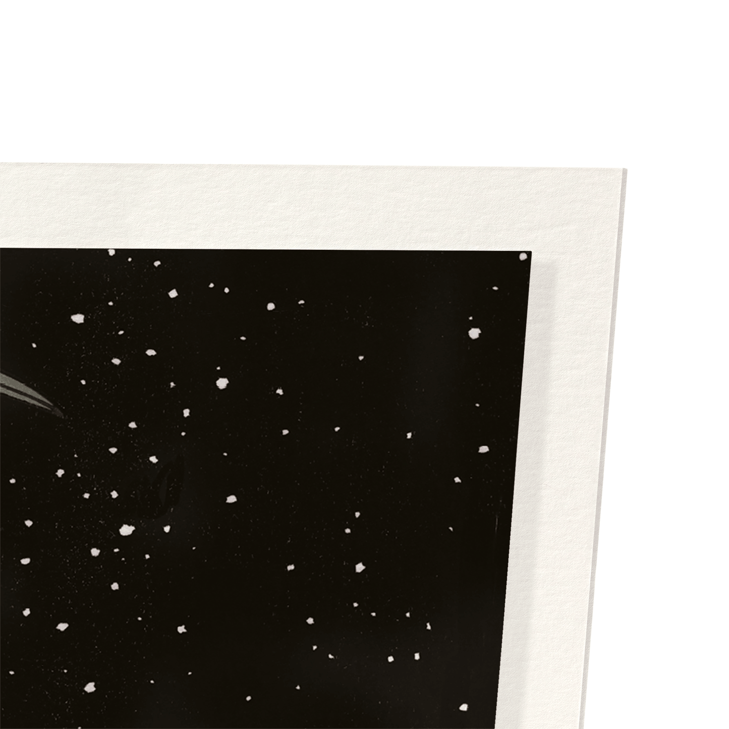 HERONS IN THE SNOW: Japanese Art Print