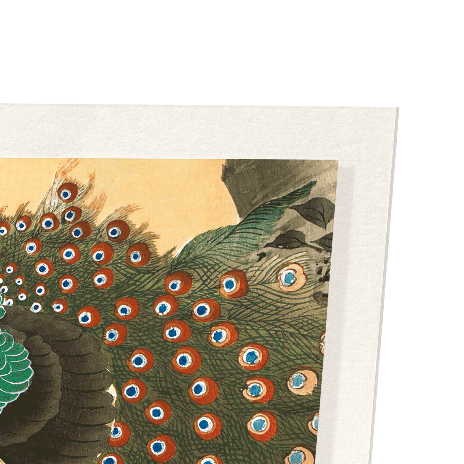 PEACOCK ON CHERRY BLOSSOMS: Japanese Art Print