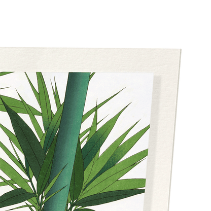 BAMBOO NO.2: Japanese Art Print