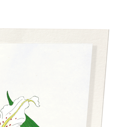 LILY: Japanese Art Print
