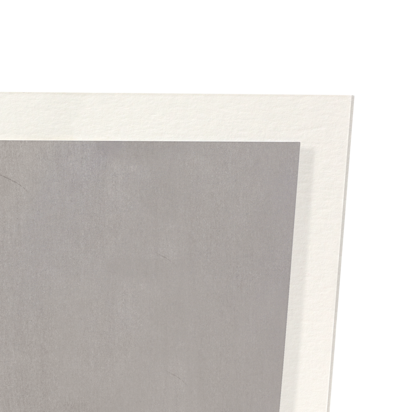 MONKEY WITH INSECT (TEST): Japanese Art Print
