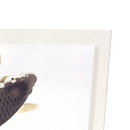 JUMPING CARP: Japanese Art Print