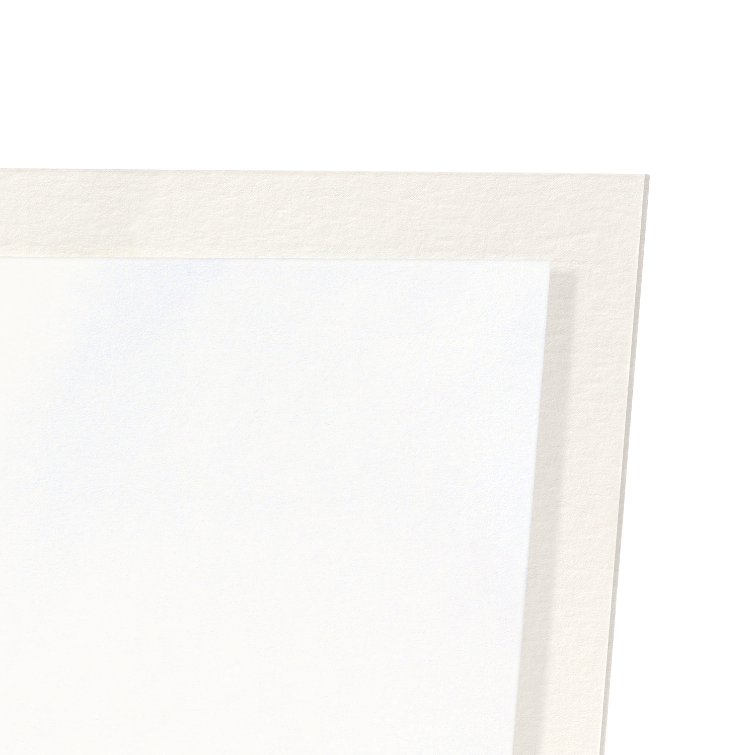 COUPLE OF RABBITS: Japanese Art Print