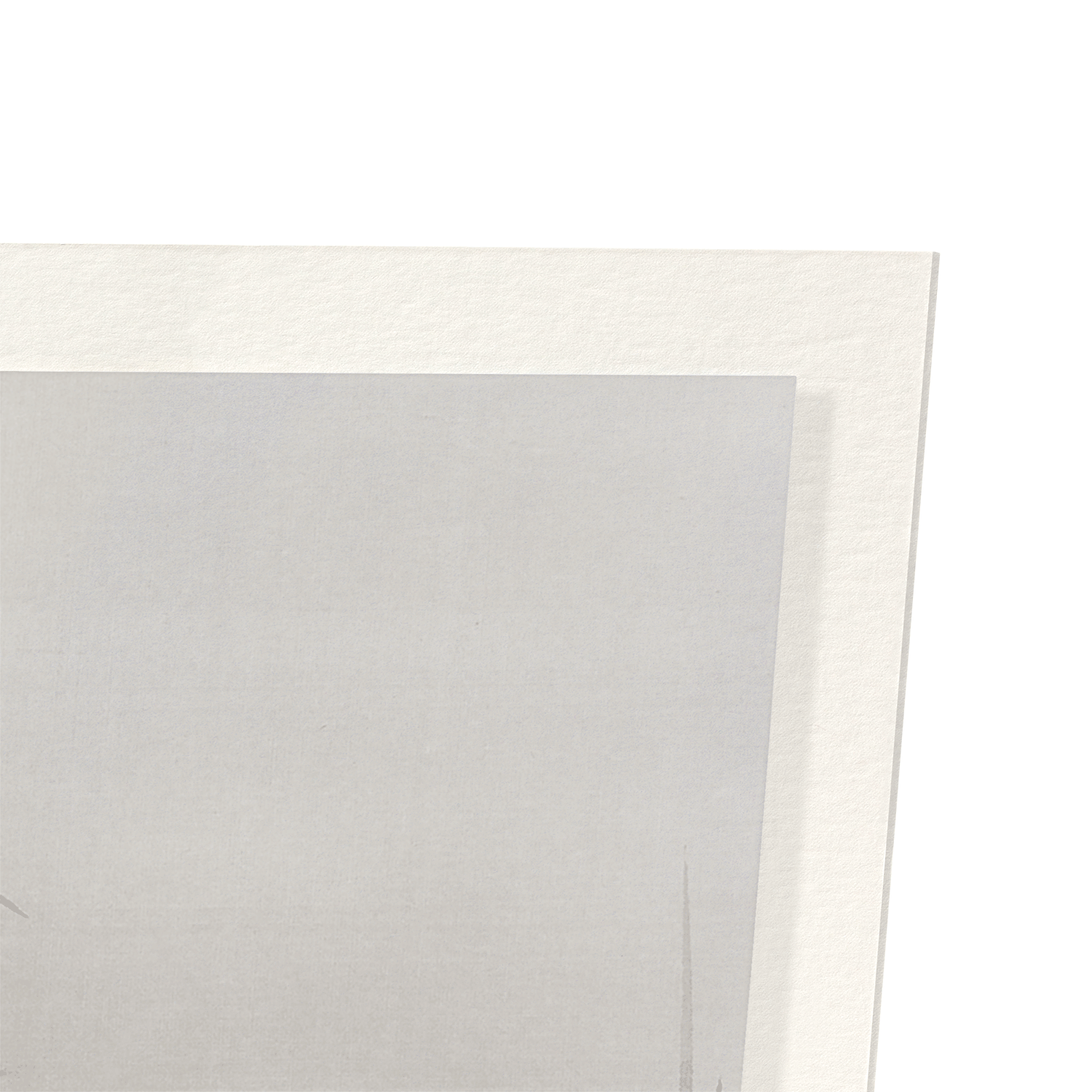 EGRETS IN THE MARSH: Japanese Art Print