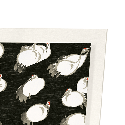 KIMONO PATTERN OF CRANES: Japanese Art Print