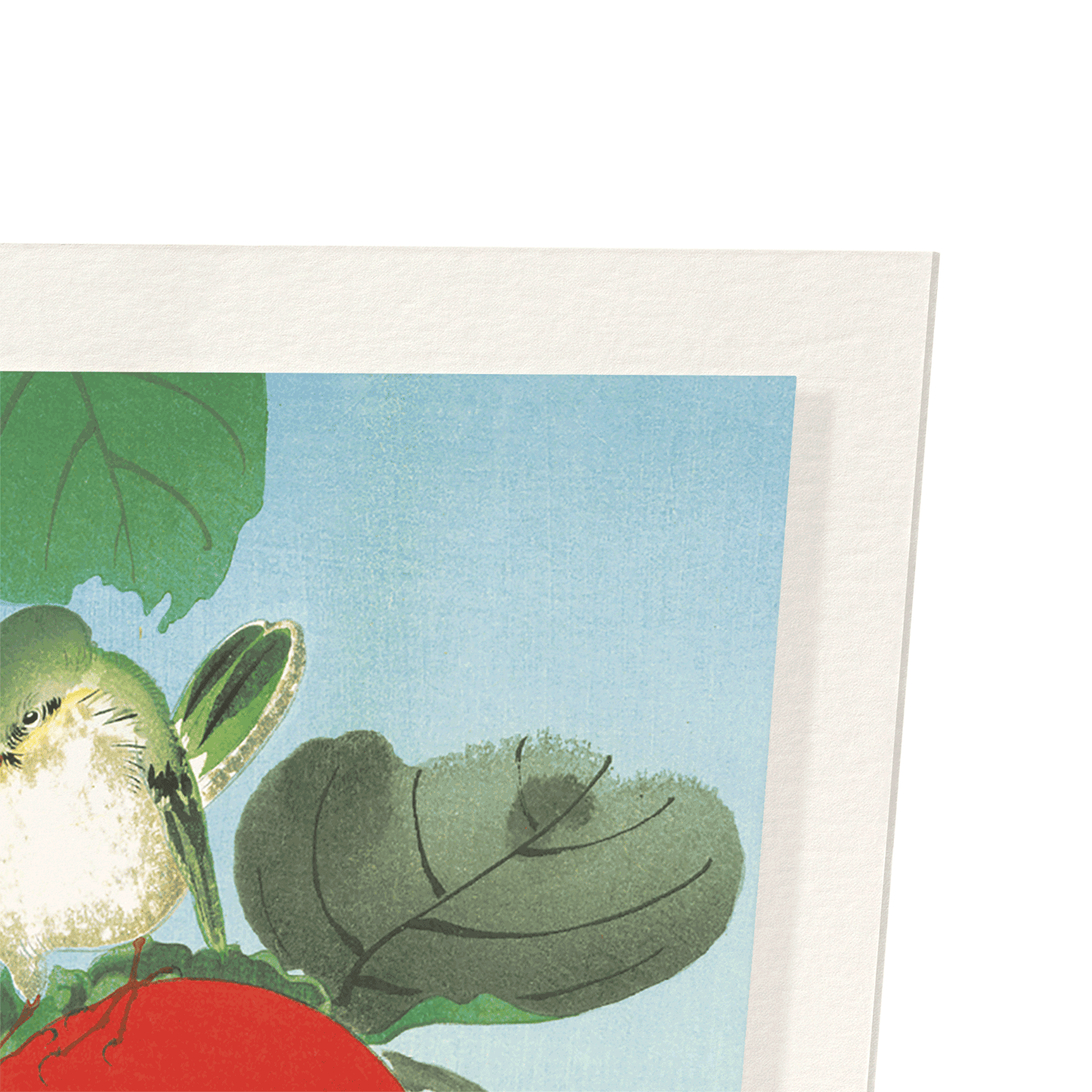 WHITE-EYE ON PERSIMMON TREE (C.1930): Japanese Art Print