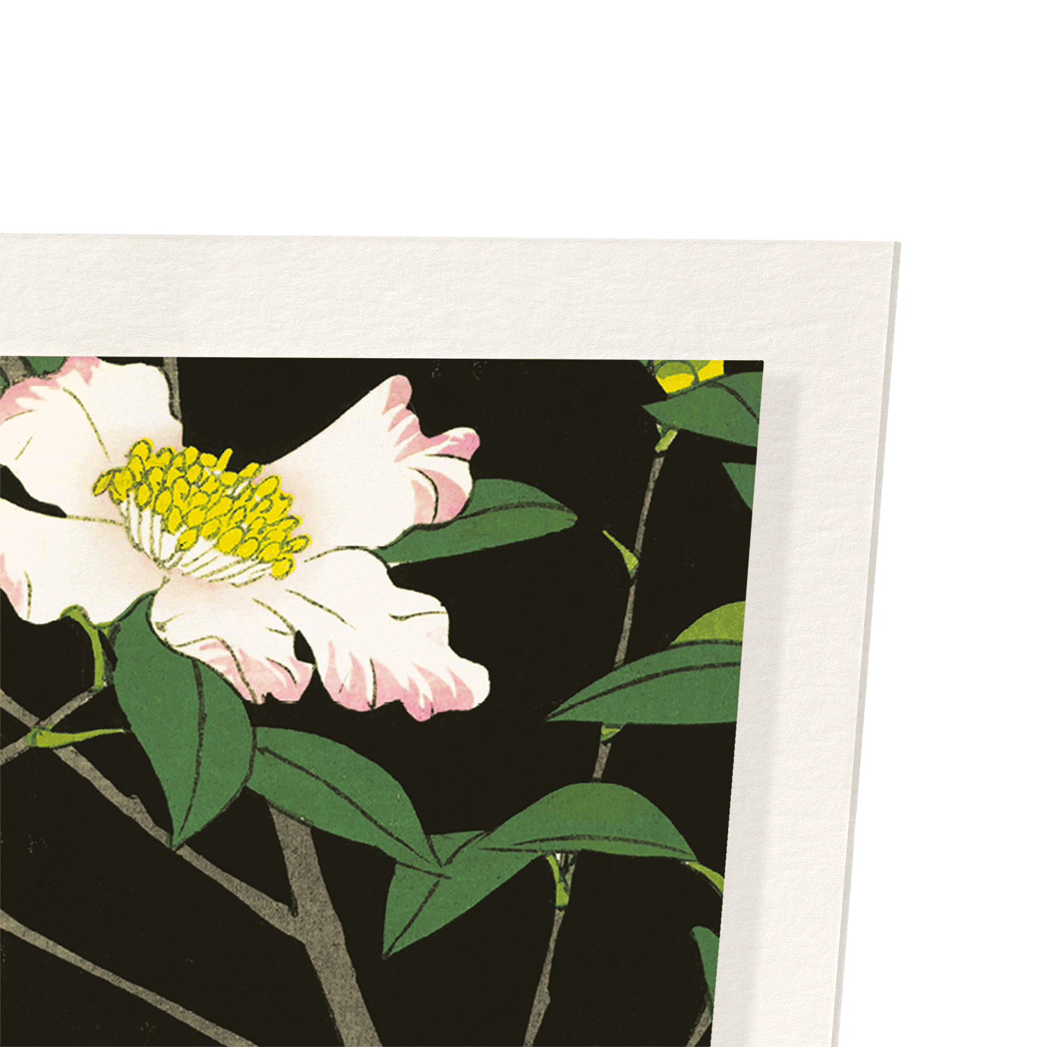 JAPANESE WHITE-EYE AND CAMELLIA (C.1930): Japanese Art Print