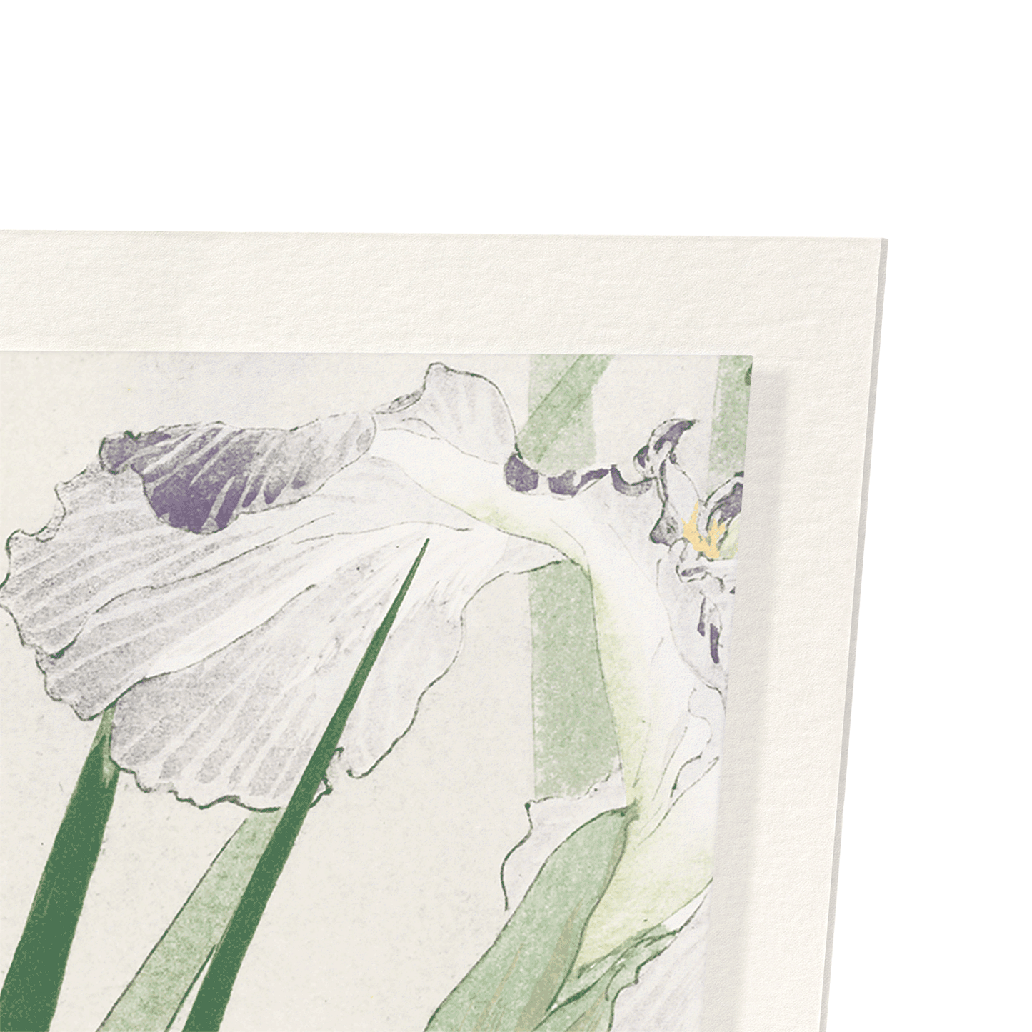 KINGFISHER AND IRIS (C.1900): Japanese Art Print