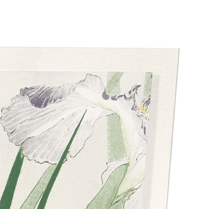 KINGFISHER AND IRIS (C.1900): Japanese Art Print
