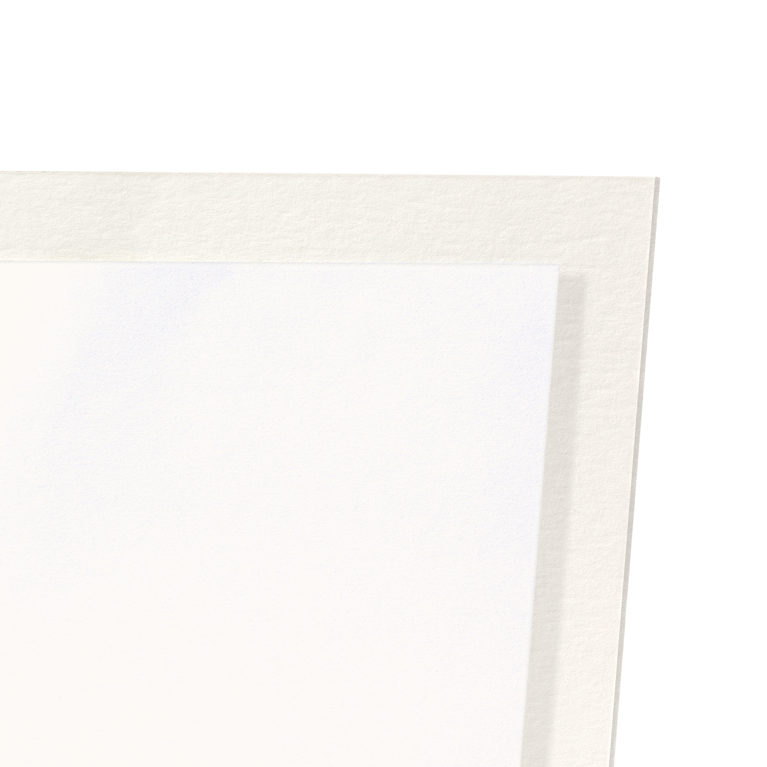 DUCK IN SNOW (C.1900): Japanese Art Print