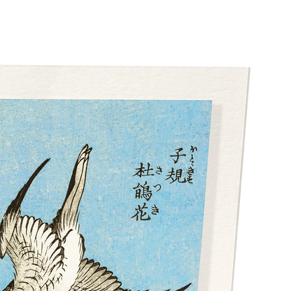 CUCKOO WITH AZELIA FLOWERS (C.1834): Japanese Art Print
