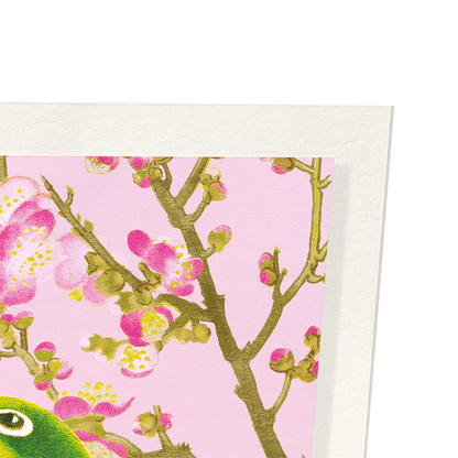 WARBLING WHITE-EYE WITH PLUM BLOSSOMS (C.1930): Japanese Art Print