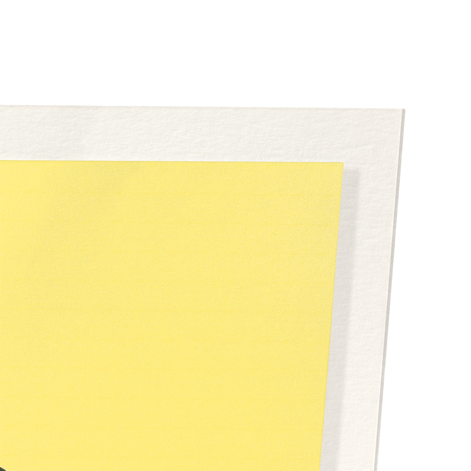 BLUE-AND-WHITE FLYCATCHER AND MAGNOLIA TREE (C.1930): Japanese Art Print