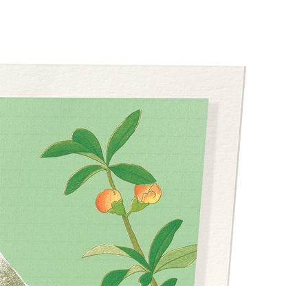 EURASIAN BULLFINCH WITH CHINESE QUINCE (C.1930): Japanese Art Print