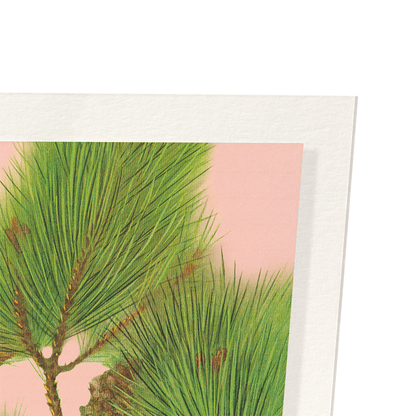 COMMON CROSSBILL BIRDS ON PINE TREE (C.1930): Japanese Art Print