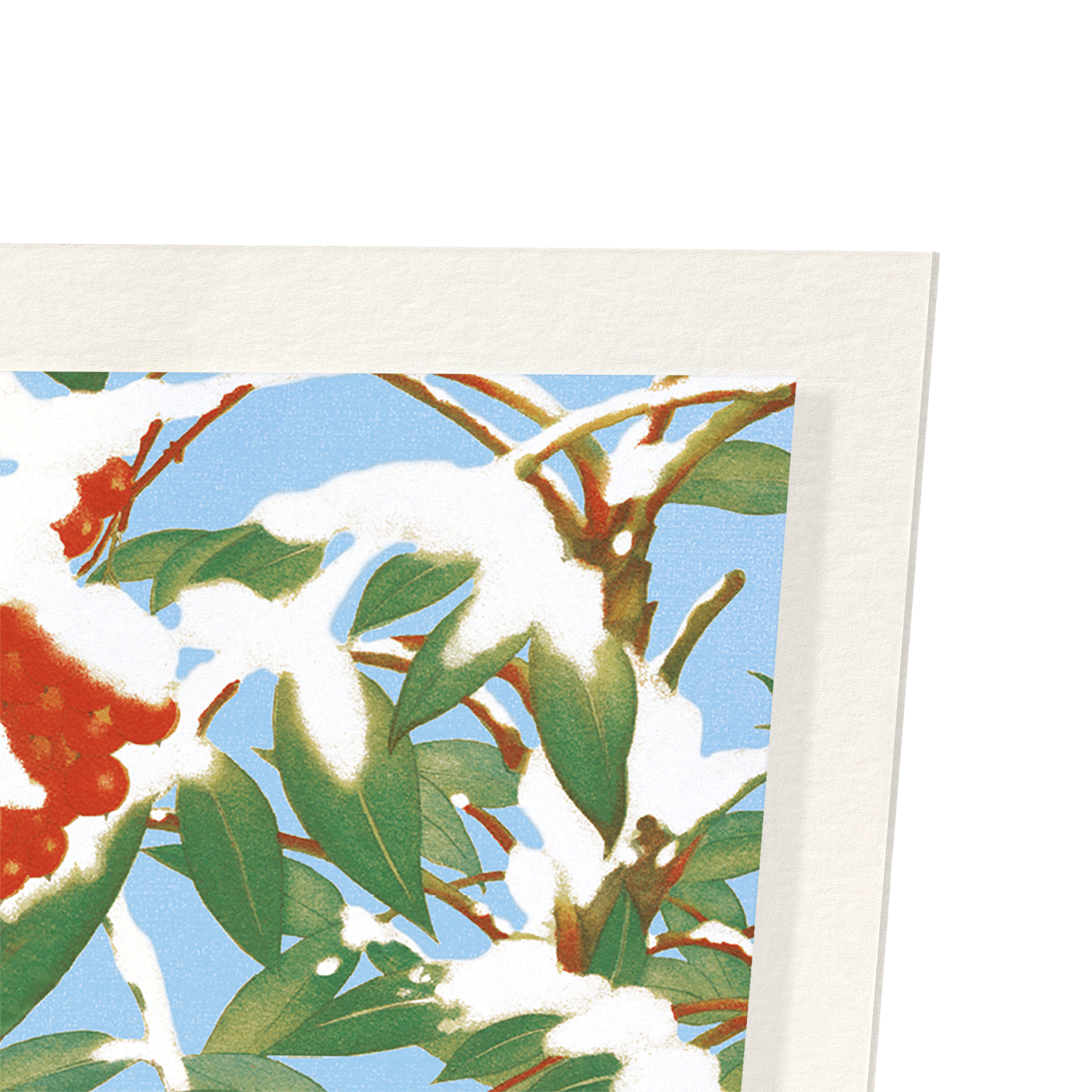 CALLIOPE BIRD WITH NANDINA (C.1930): Japanese Art Print