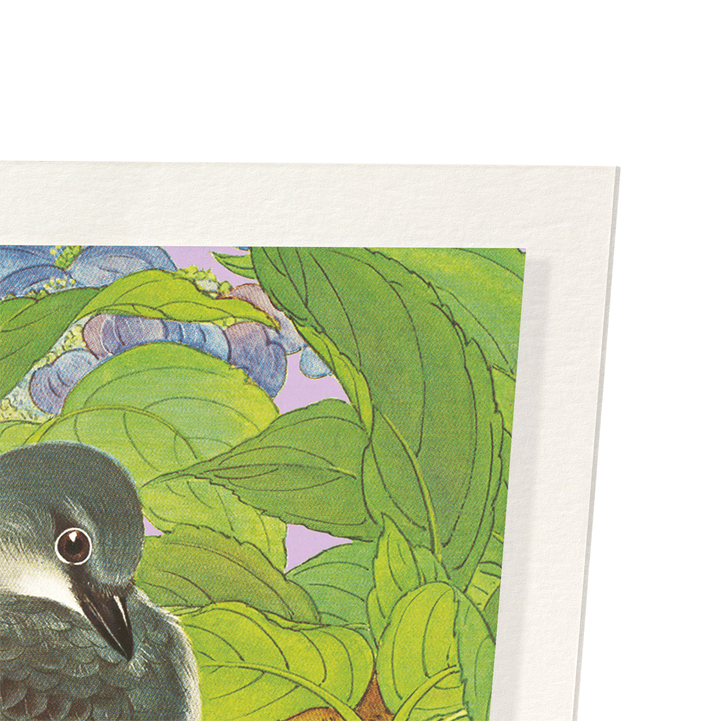 ASHY MINIVET BIRDS WITH HYDRANGEA (C.1930): Japanese Art Print