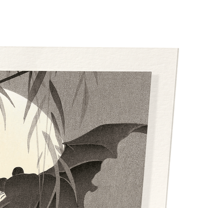 TWO BATS IN FULL MOON (C.1910): Japanese Art Print