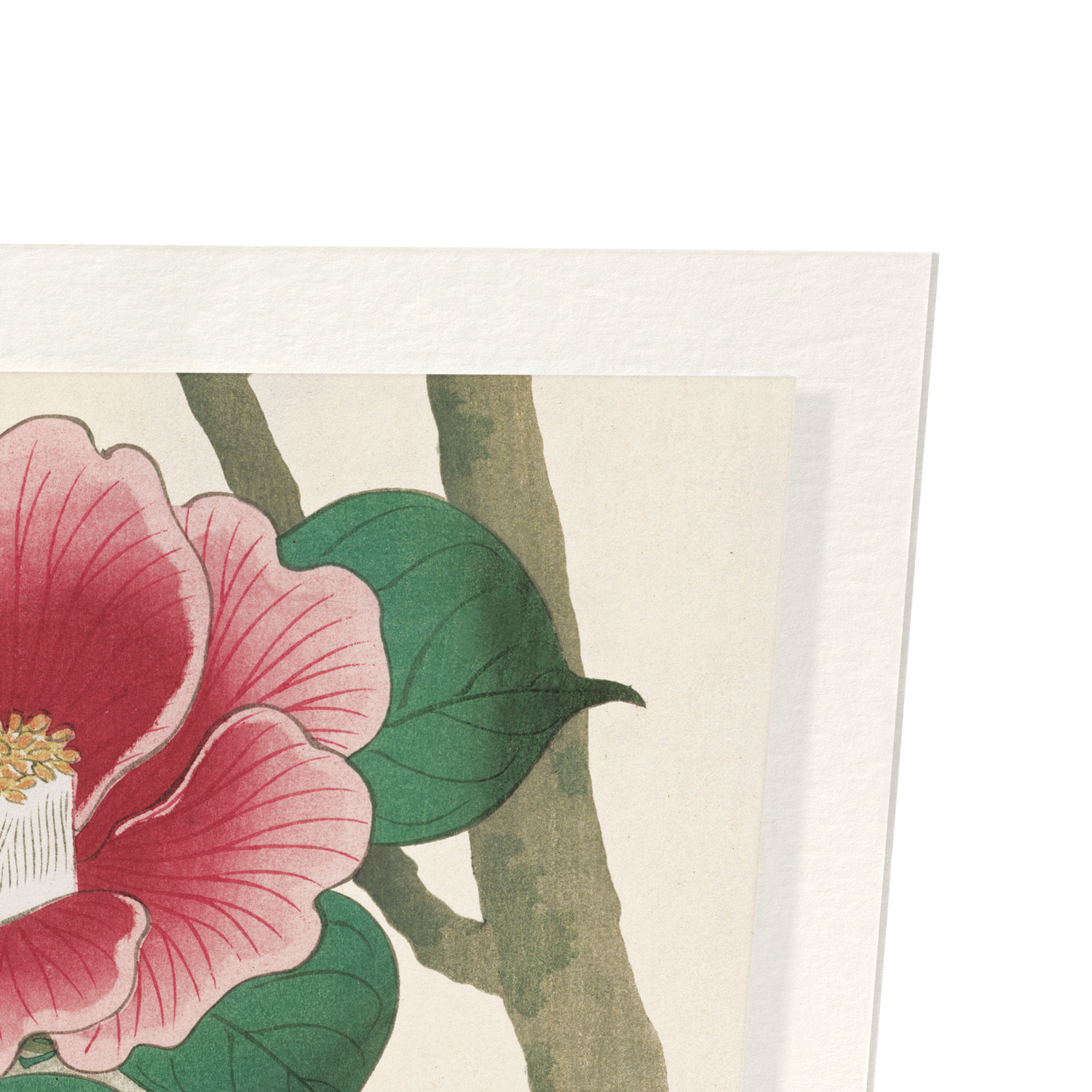 JAPANESE BUNTING AND CAMELLIA (C.1910): Japanese Art Print