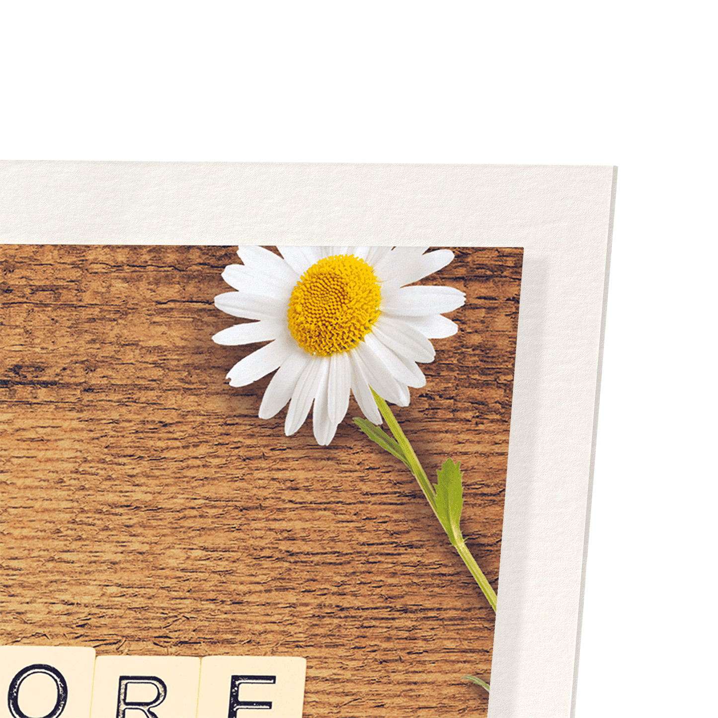 DO WHAT MAKES YOU HAPPY: Photo Art Print