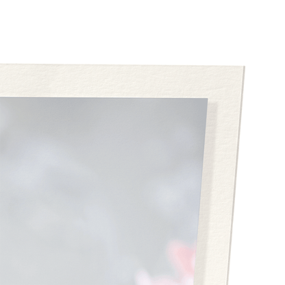 MR & MRS CUPCAKE: Photo Art Print