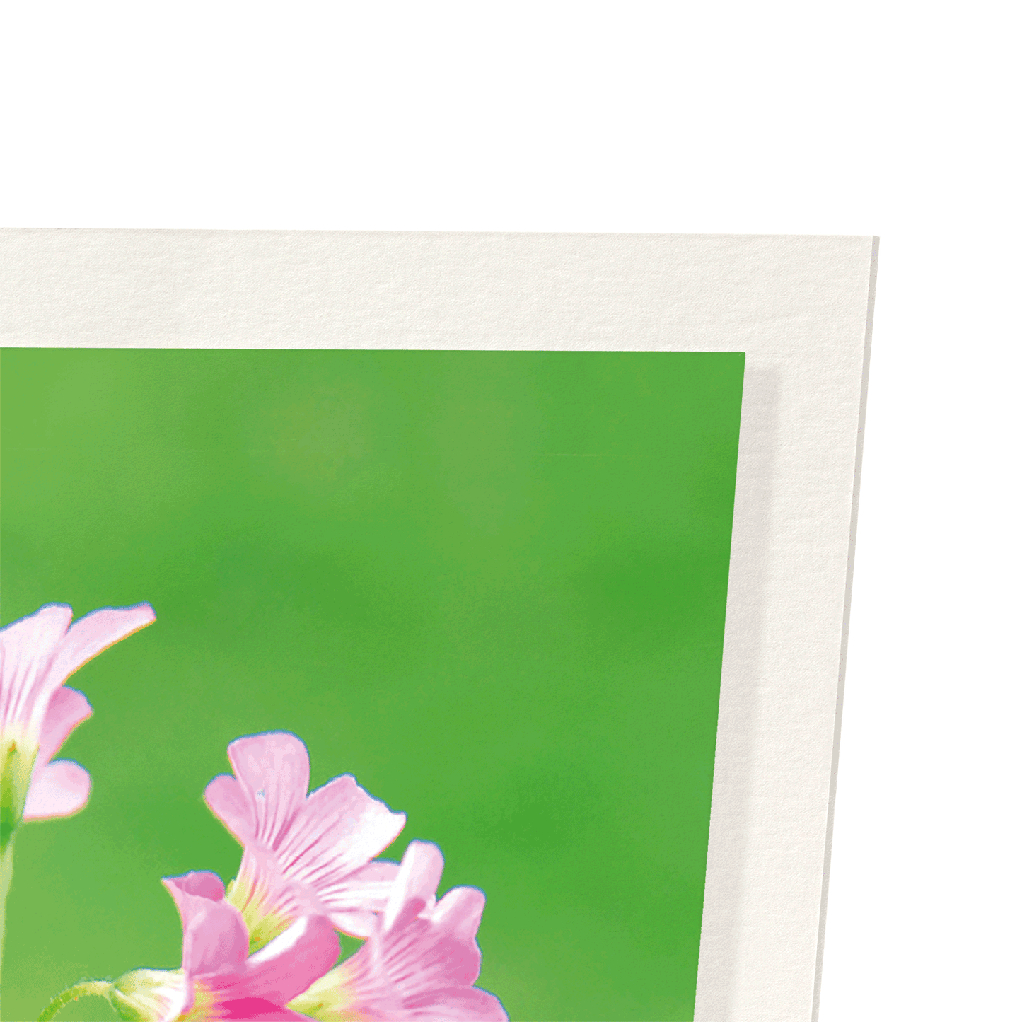 BUNCH OF FLOWERS: Photo Art Print