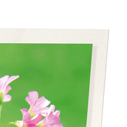 BUNCH OF FLOWERS: Photo Art Print