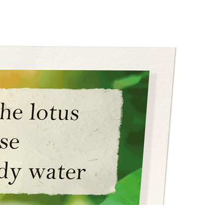 LOTUS IN THE LIGHT: Photo Art Print