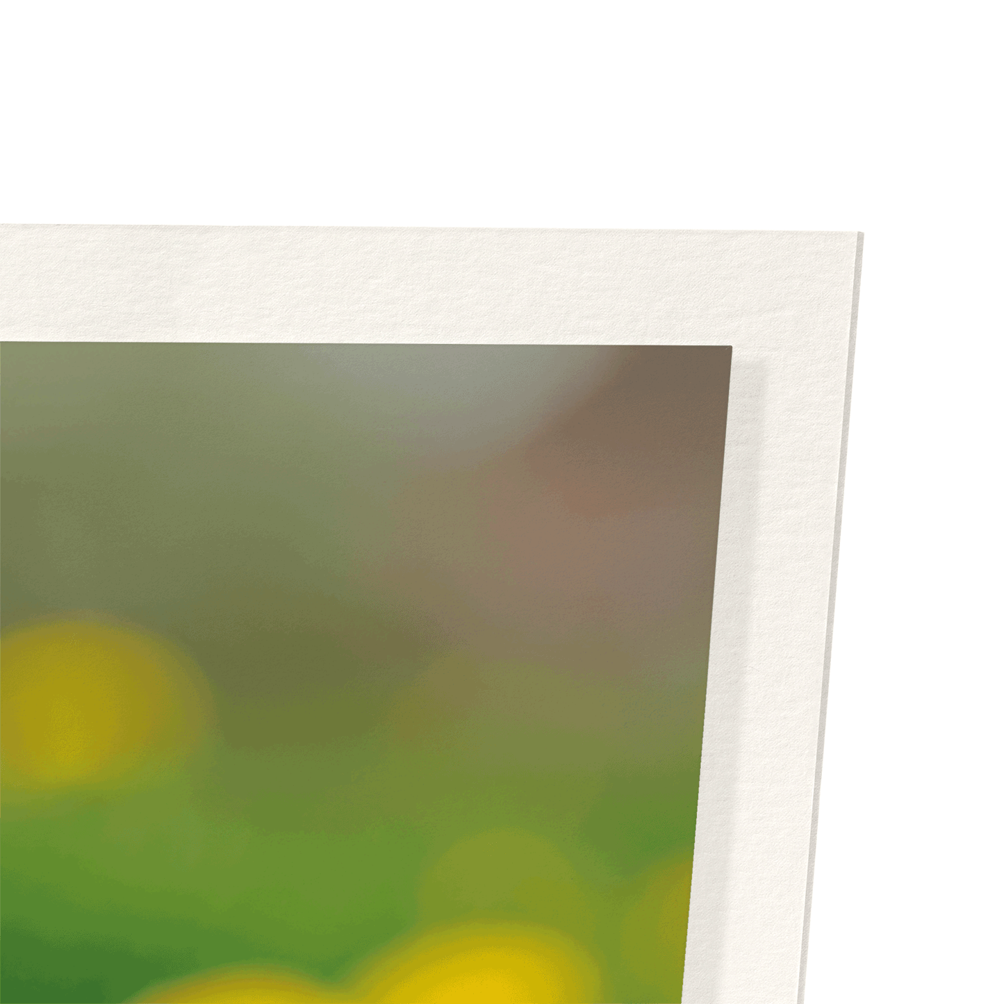 EASTER CHICK: Photo Art Print
