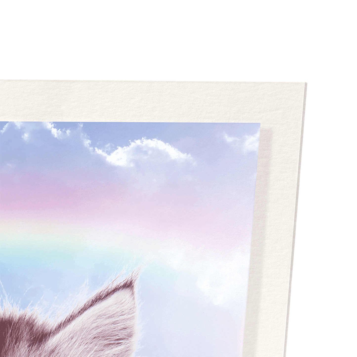 UNICORN CAT: Photo Art Print