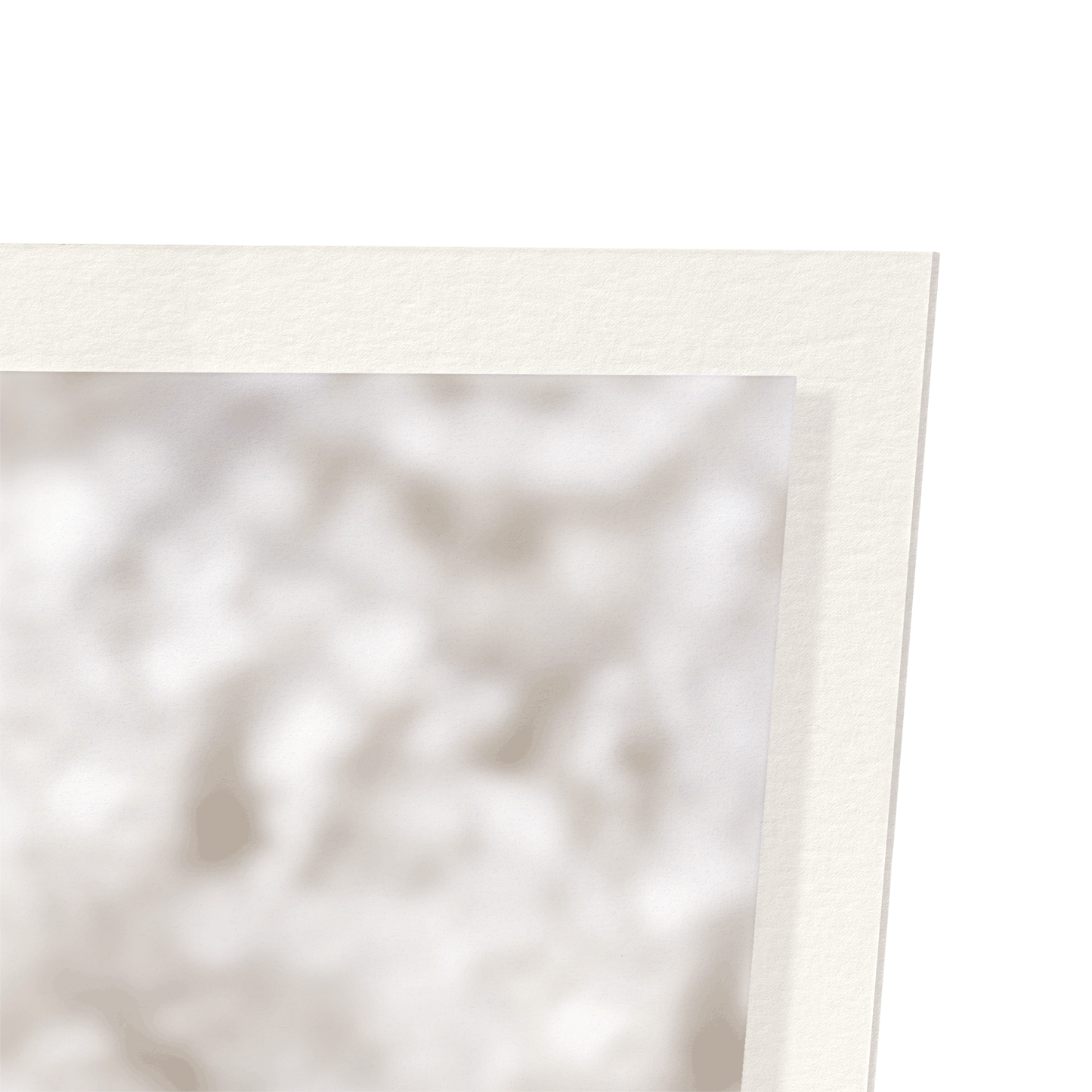 KITTEN AND NOTEBOOK: Photo Art Print